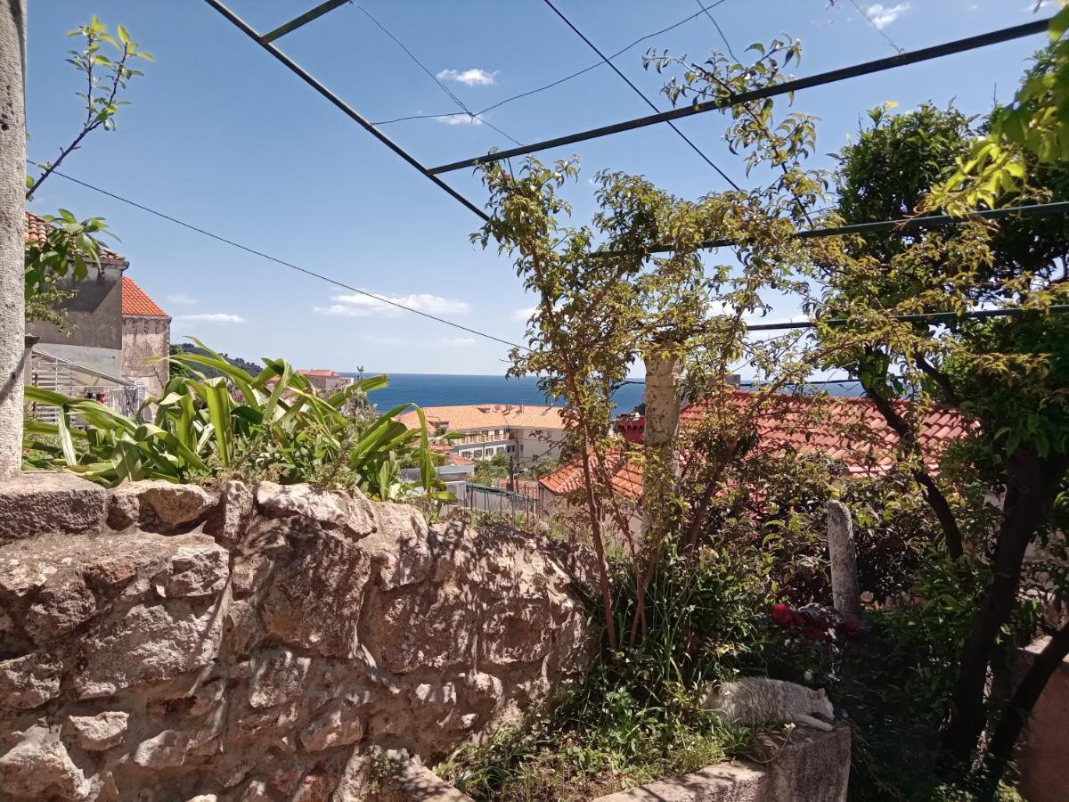 Summer Day Room 杜布罗夫尼克 外观 照片